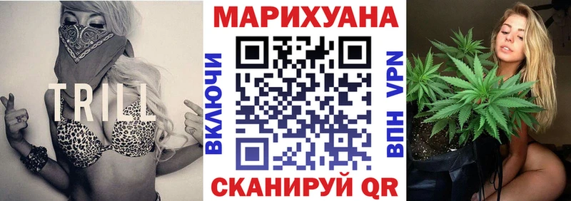 Конопля Апатиты