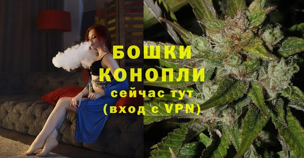 PSILOCYBIN Богородск