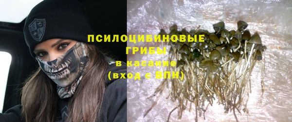 PSILOCYBIN Богородск