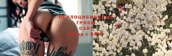 стафф Белоозёрский
