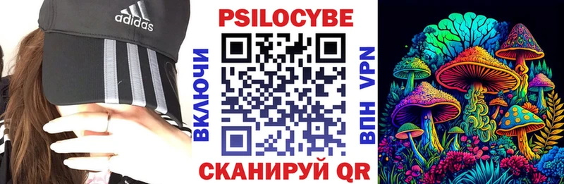 Галлюциногенные грибы Psilocybe Купить Апатиты