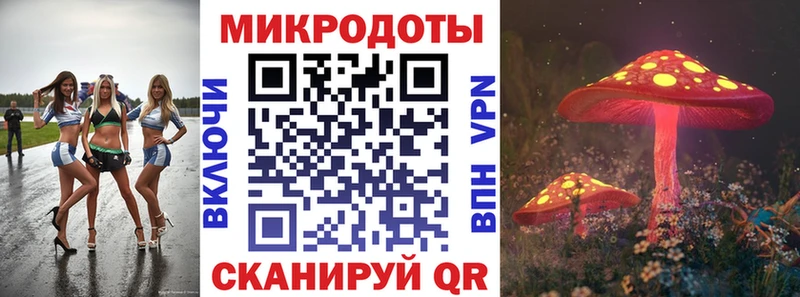 Псилоцибиновые грибы Psilocybine cubensis Апатиты